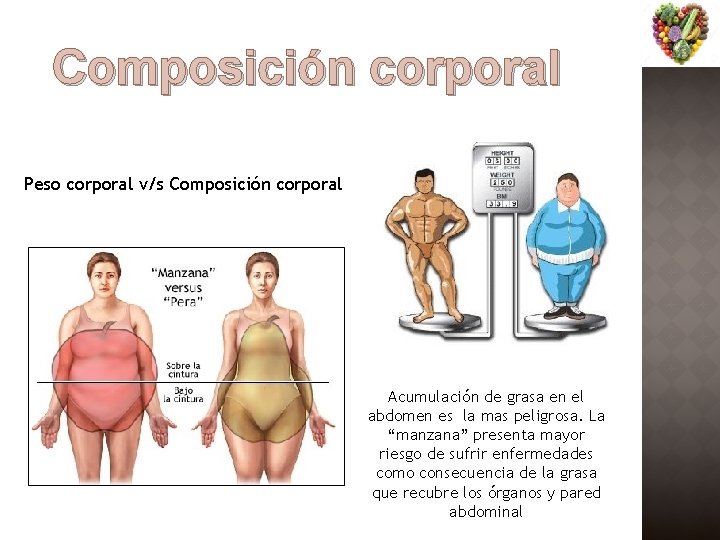 Composición corporal Peso corporal v/s Composición corporal Acumulación de grasa en el abdomen es