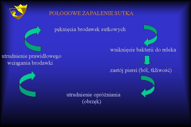 POŁOGOWE ZAPALENIE SUTKA pęknięcia brodawek sutkowych utrudnienie prawidłowego wciągania brodawki wniknięcie bakterii do mleka