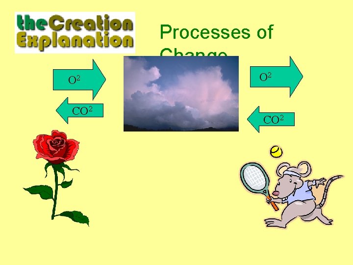 Processes of Change O 2 CO 2 
