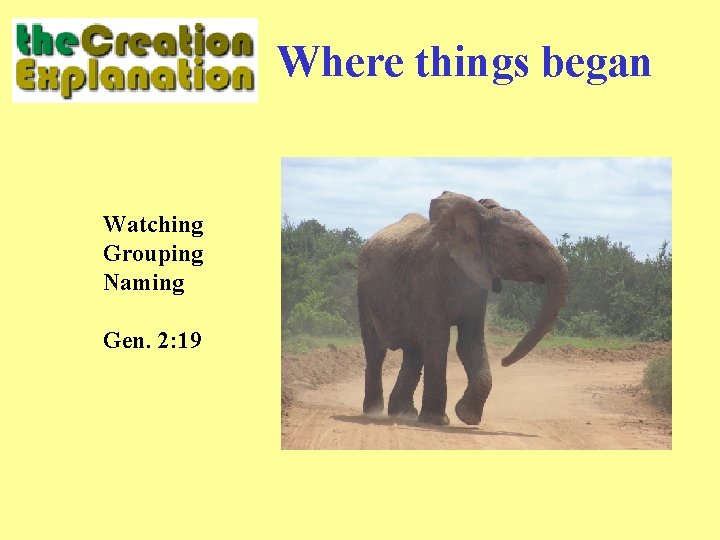 Where things began Watching Grouping Naming Gen. 2: 19 