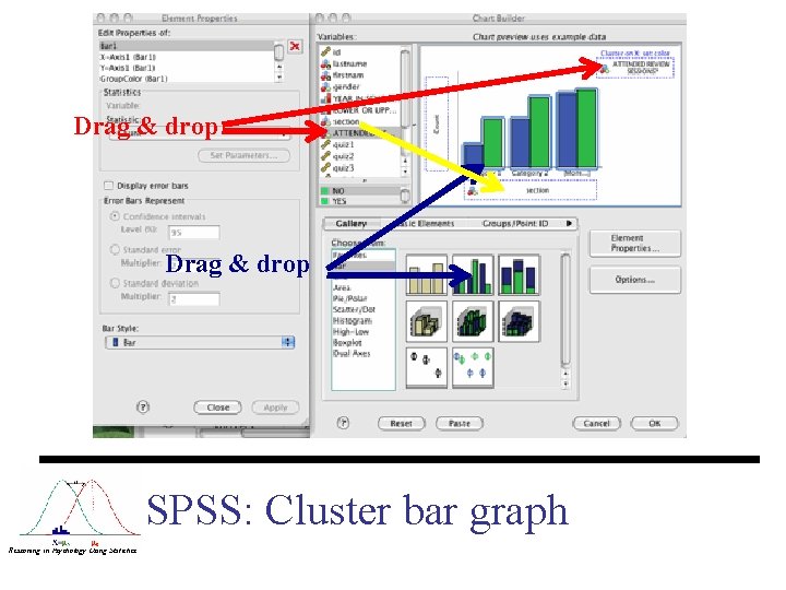 Drag & drop SPSS: Cluster bar graph Reasoning in Psychology Using Statistics 