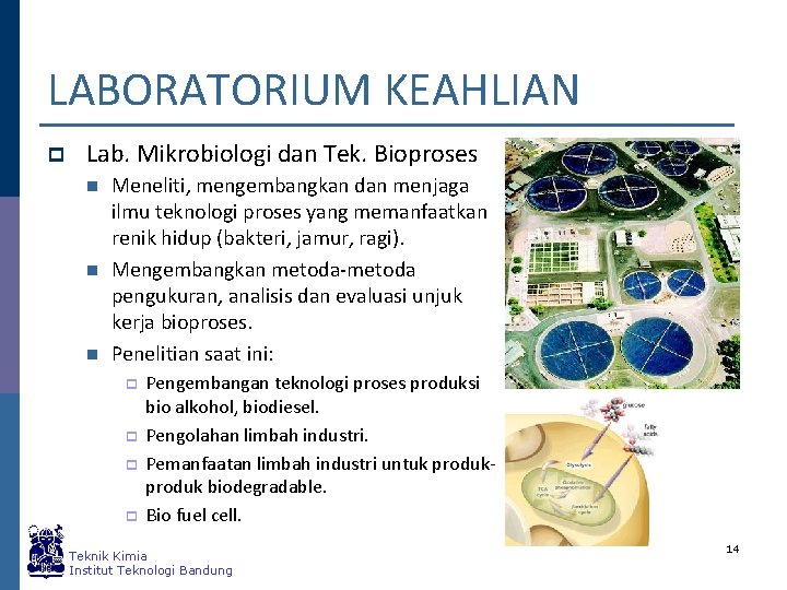 LABORATORIUM KEAHLIAN p Lab. Mikrobiologi dan Tek. Bioproses n n n Meneliti, mengembangkan dan