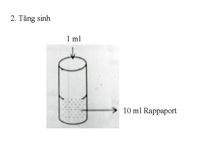 2. Tăng sinh 1 ml 10 ml Rappaport 