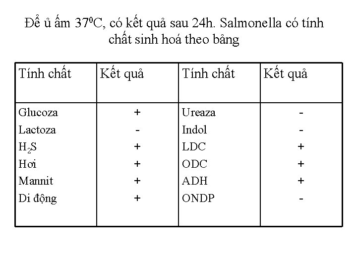 Để ủ ấm 370 C, có kết quả sau 24 h. Salmonella có tính