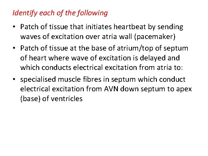 Identify each of the following • Patch of tissue that initiates heartbeat by sending