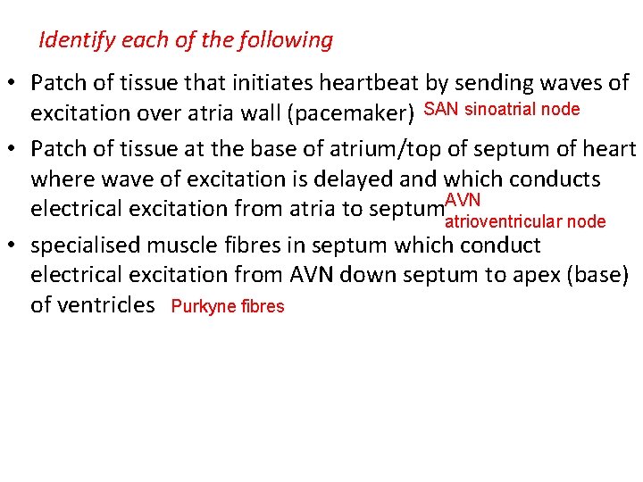 Identify each of the following • Patch of tissue that initiates heartbeat by sending