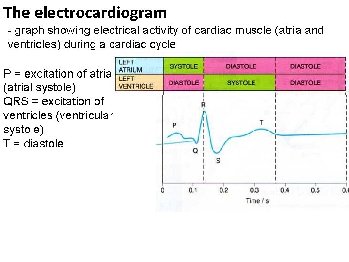 The electrocardiogram - graph showing electrical activity of cardiac muscle (atria and ventricles) during