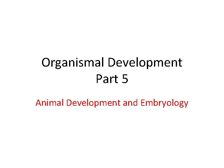 Organismal Development Part 5 Animal Development and Embryology 