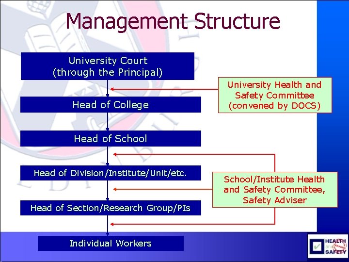 Management Structure University Court (through the Principal) Head of College University Health and Safety