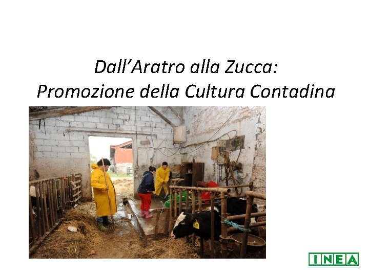 Dall’Aratro alla Zucca: Promozione della Cultura Contadina 