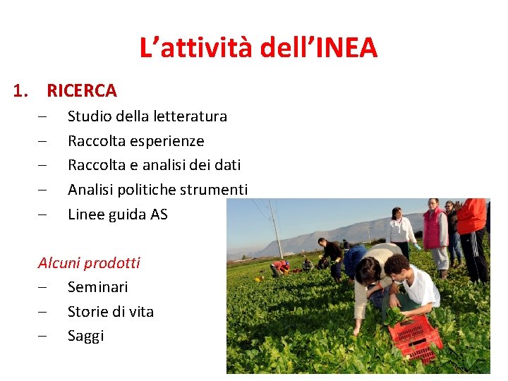 L’attività dell’INEA 1. RICERCA – – – Studio della letteratura Raccolta esperienze Raccolta e