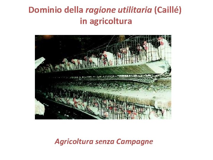 Dominio della ragione utilitaria (Caillé) in agricoltura Agricoltura senza Campagne 