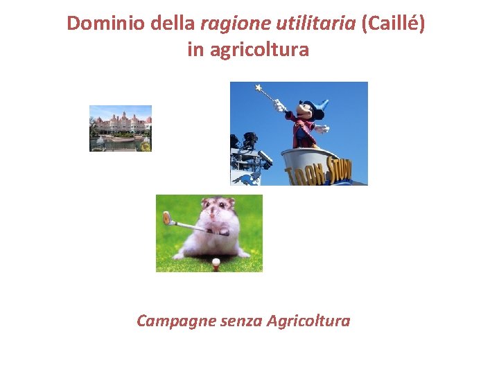 Dominio della ragione utilitaria (Caillé) in agricoltura Campagne senza Agricoltura 