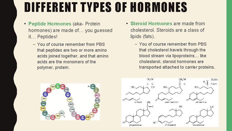 DIFFERENT TYPES OF HORMONES • Peptide Hormones (aka- Protein hormones) are made of… you