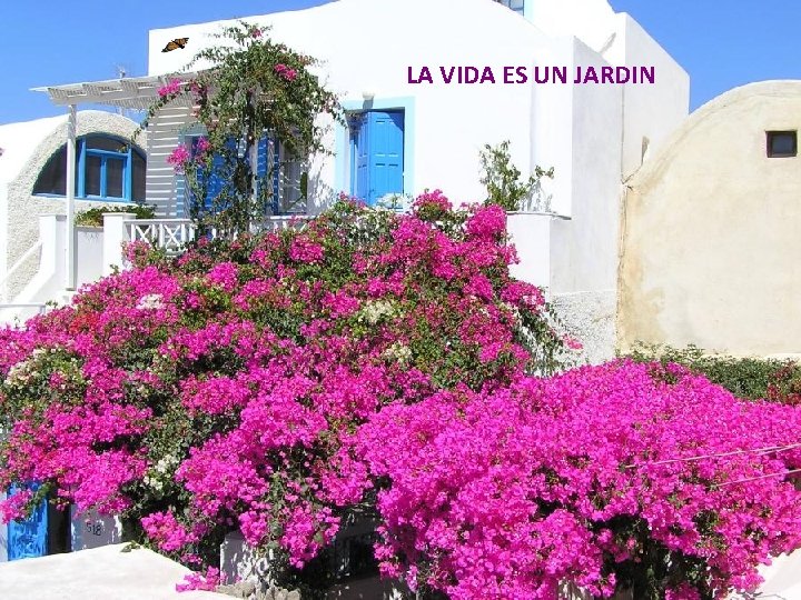 LA VIDA ES UN JARDIN 