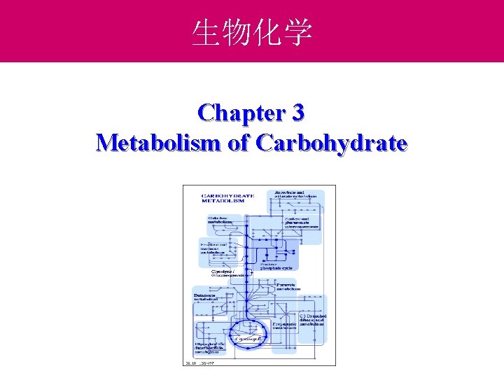 生物化学 Chapter 3 Metabolism of Carbohydrate 