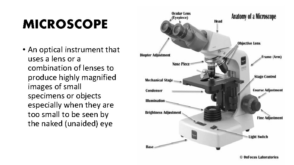 MICROSCOPE • An optical instrument that uses a lens or a combination of lenses