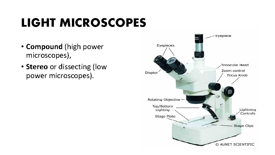 LIGHT MICROSCOPES • Compound (high power microscopes), • Stereo or dissecting (low power microscopes).