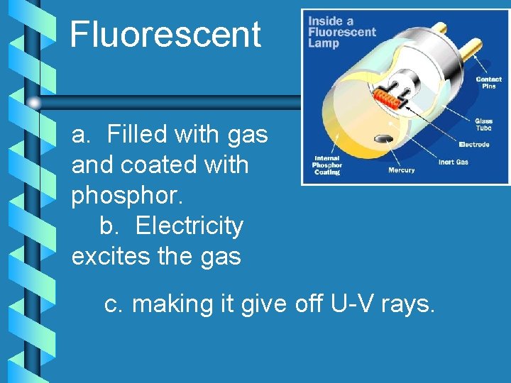 Fluorescent a. Filled with gas and coated with phosphor. b. Electricity excites the gas