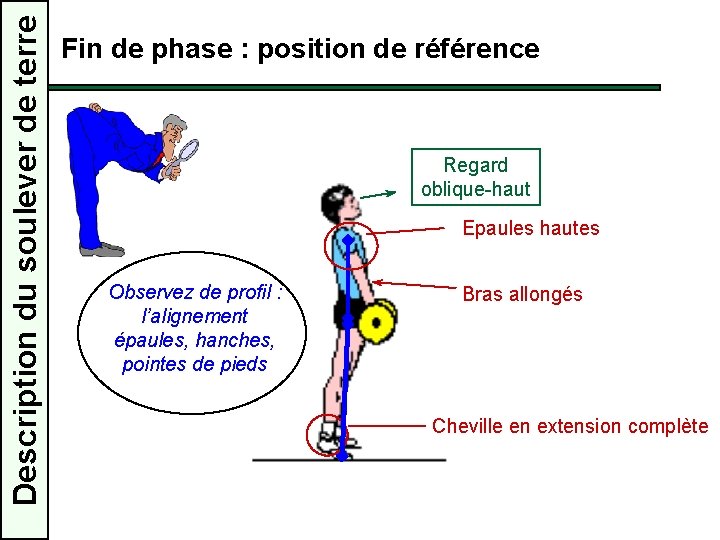 Description du soulever de terre Fin de phase : position de référence Regard oblique-haut