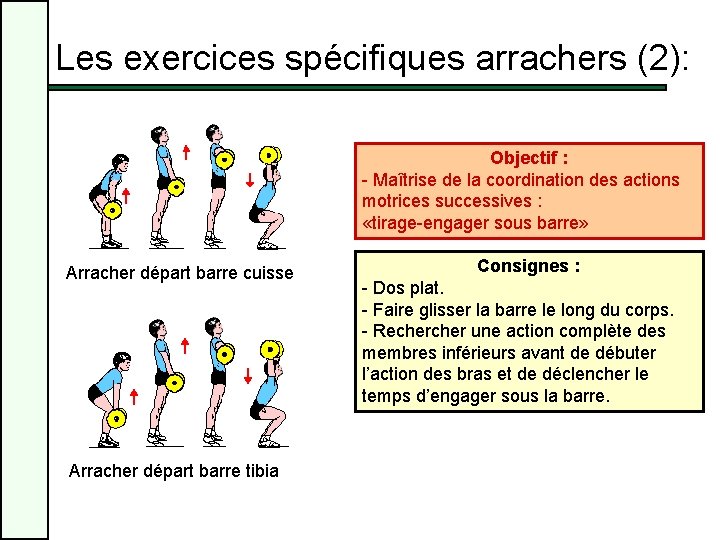 Les exercices spécifiques arrachers (2): Objectif : - Maîtrise de la coordination des actions