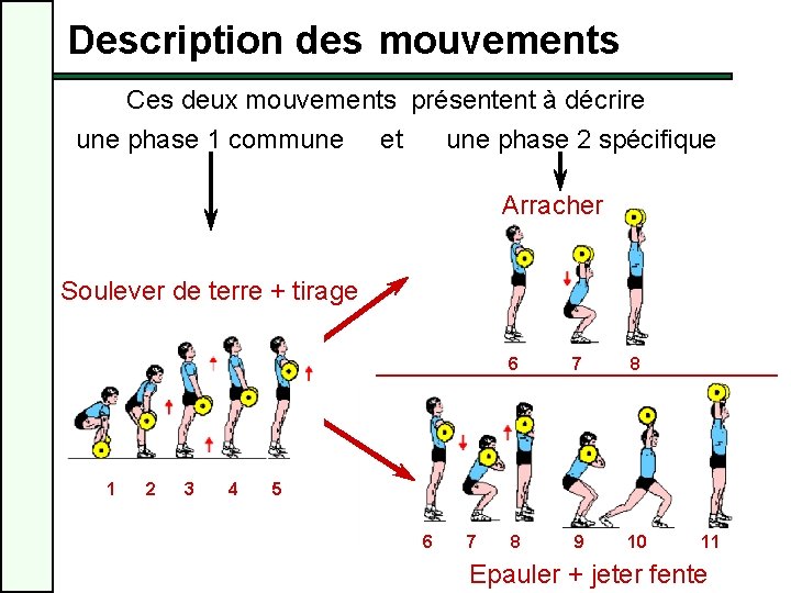 Description des mouvements Ces deux mouvements présentent à décrire une phase 1 commune et