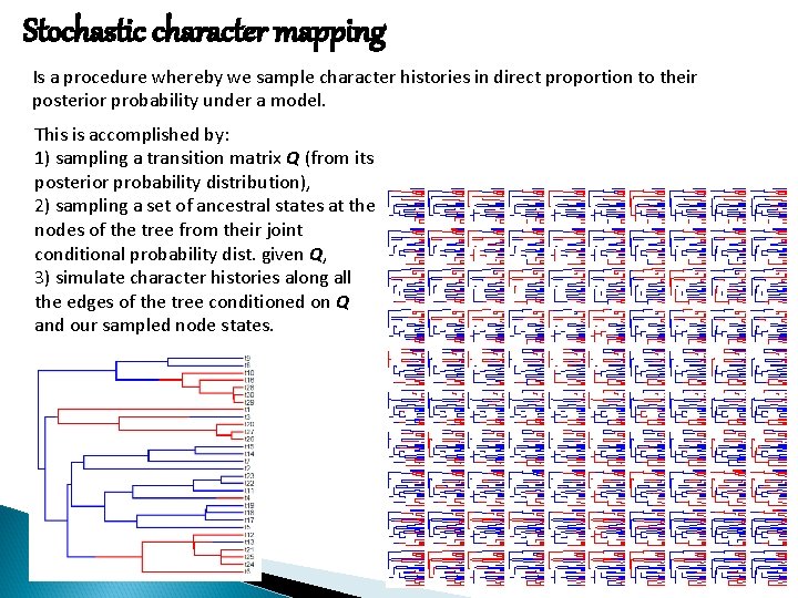 Stochastic character mapping Is a procedure whereby we sample character histories in direct proportion