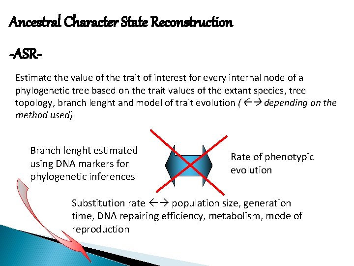 Ancestral Character State Reconstruction -ASREstimate the value of the trait of interest for every