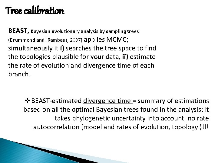 Tree calibration BEAST, Bayesian evolutionary analysis by sampling trees (Drummond and Rambaut, 2007) applies