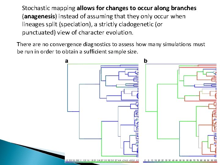 Stochastic mapping allows for changes to occur along branches (anagenesis) instead of assuming that