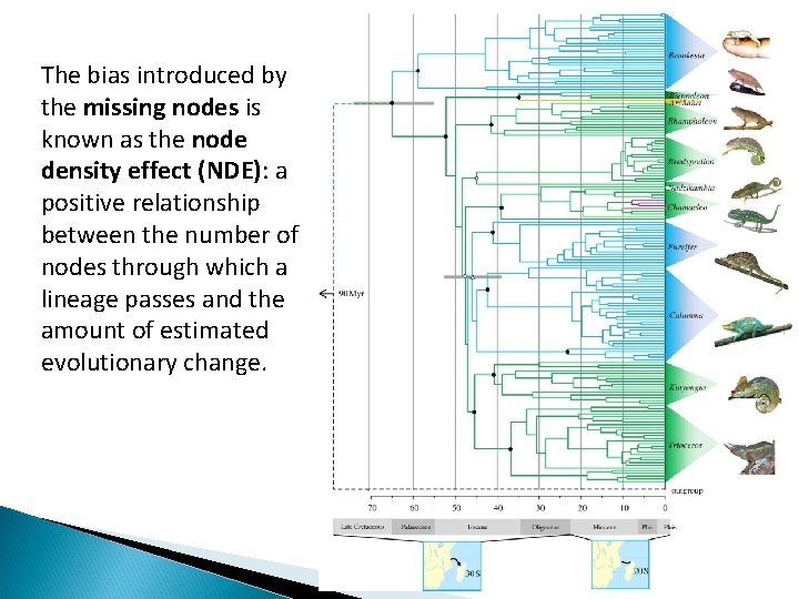 The bias introduced by the missing nodes is known as the node density effect