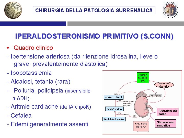 CHIRURGIA DELLA PATOLOGIA SURRENALICA IPERALDOSTERONISMO PRIMITIVO (S. CONN) • Quadro clinico - Ipertensione arteriosa
