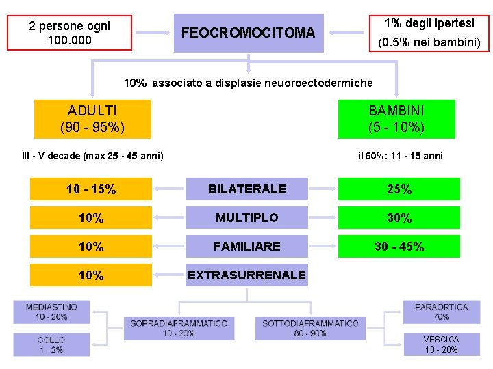 2 persone ogni 100. 000 1% degli ipertesi FEOCROMOCITOMA (0. 5% nei bambini) 10%