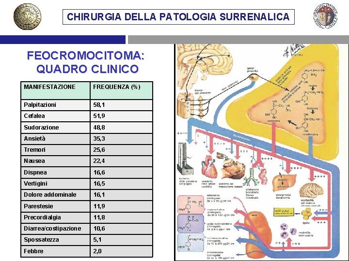 CHIRURGIA DELLA PATOLOGIA SURRENALICA FEOCROMOCITOMA: QUADRO CLINICO MANIFESTAZIONE FREQUENZA (%) Palpitazioni 58, 1 Cefalea