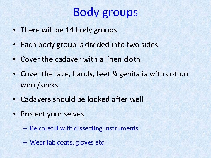 Body groups • There will be 14 body groups • Each body group is