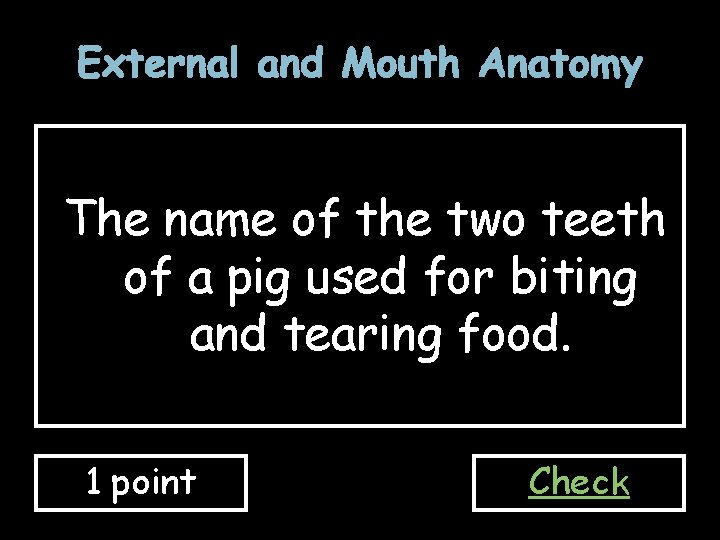 External and Mouth Anatomy The name of the two teeth of a pig used