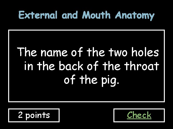 External and Mouth Anatomy The name of the two holes in the back of