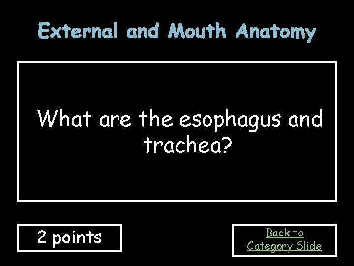 External and Mouth Anatomy What are the esophagus and trachea? 2 points Back to