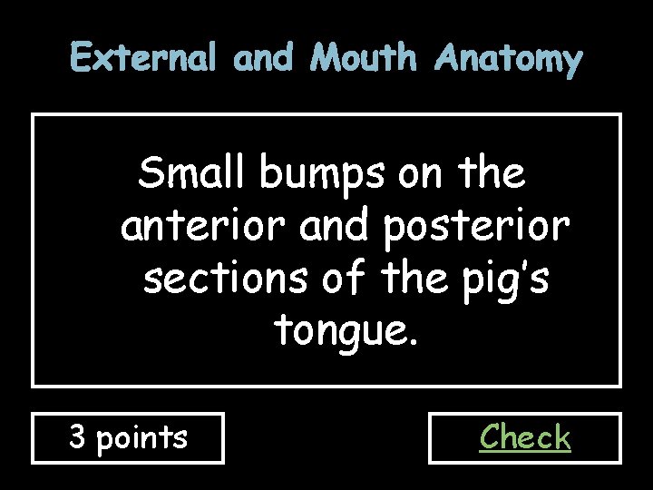 External and Mouth Anatomy Small bumps on the anterior and posterior sections of the