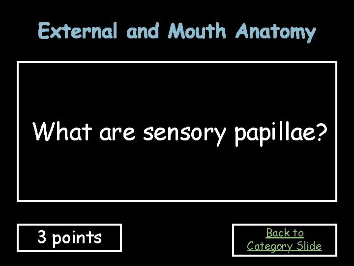 External and Mouth Anatomy What are sensory papillae? 3 points Back to Category Slide