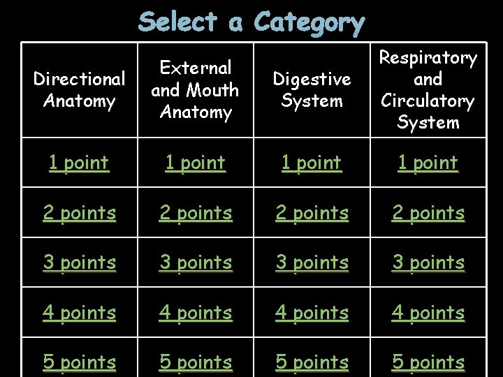Select a Category Directional Anatomy External and Mouth Anatomy Digestive System Respiratory and Circulatory