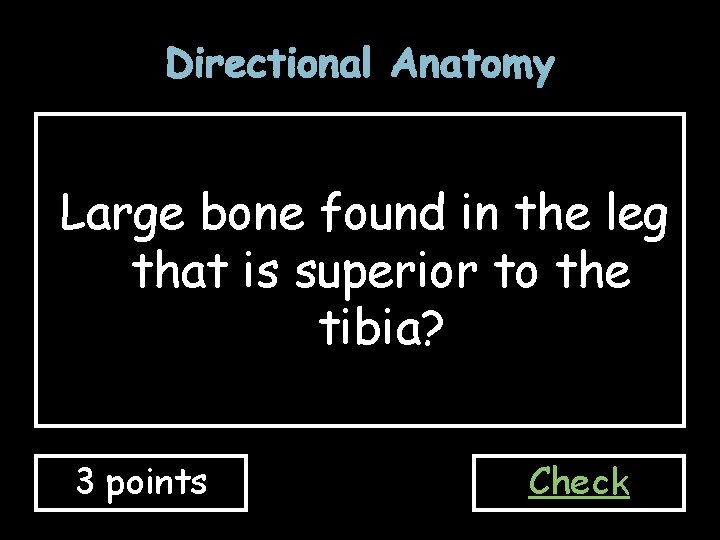 Directional Anatomy Large bone found in the leg that is superior to the tibia?