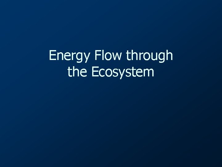 Energy Flow through the Ecosystem 