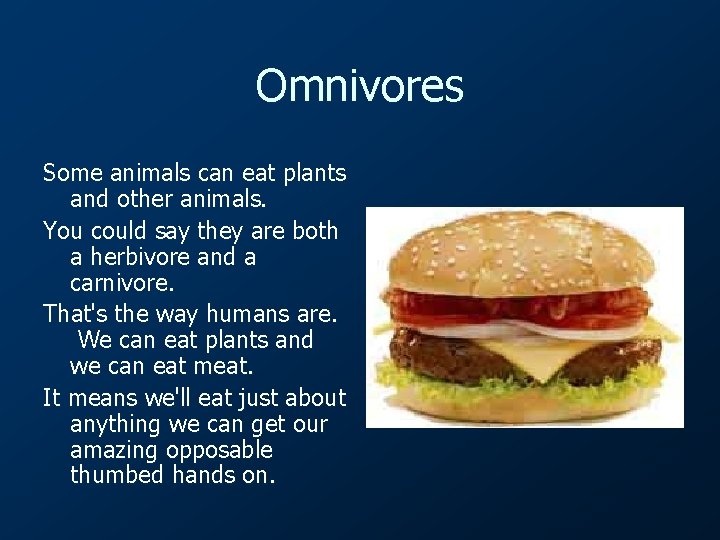 Omnivores Some animals can eat plants and other animals. You could say they are