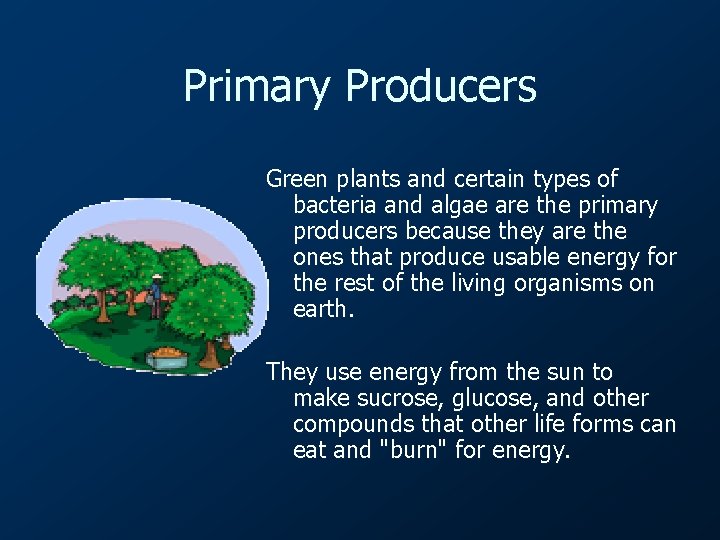 Primary Producers Green plants and certain types of bacteria and algae are the primary