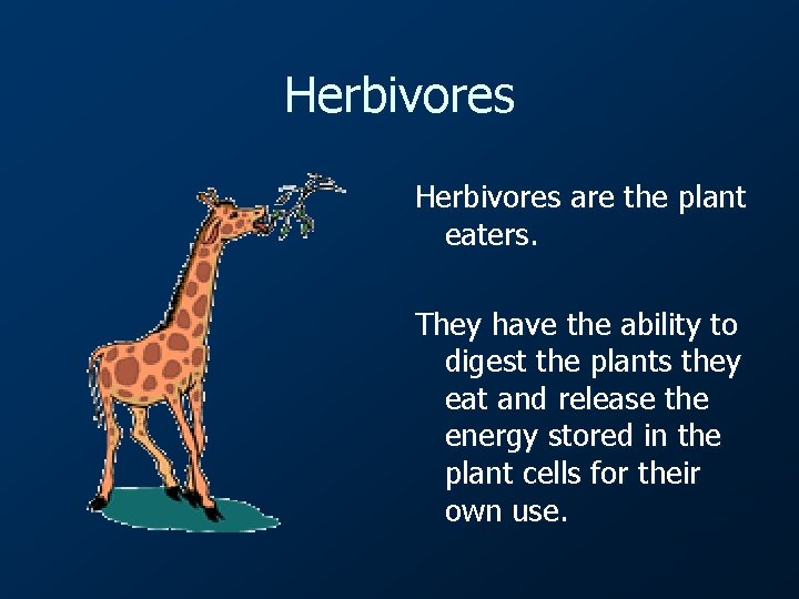 Herbivores are the plant eaters. They have the ability to digest the plants they