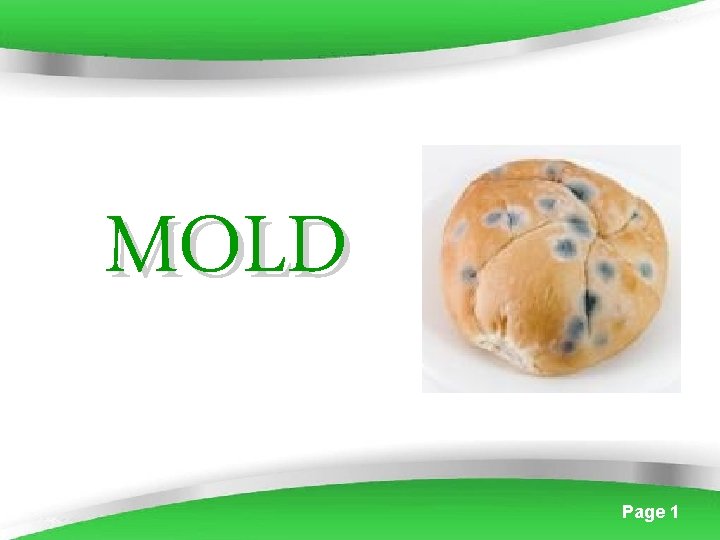 MOLD Powerpoint Templates Page 1 