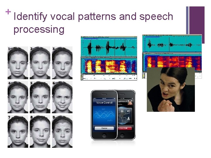 + Identify vocal patterns and speech processing 
