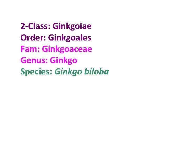 2 -Class: Ginkgoiae Order: Ginkgoales Fam: Ginkgoaceae Genus: Ginkgo Species: Ginkgo biloba 