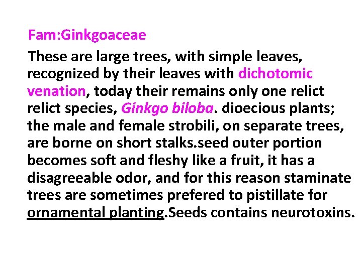 Fam: Ginkgoaceae These are large trees, with simple leaves, recognized by their leaves with